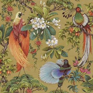 Albany Wallpaper Yasuni 91402
