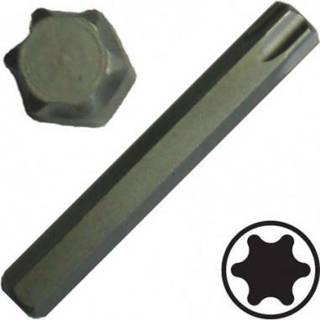 BATO Auto Bits lang. Torx 40. (4647)