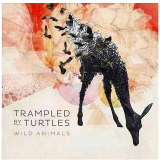 Trampled by Turtles - Wild Animals
