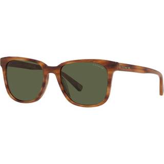 Coach HC8313U C2095 558171 54 Solbriller Mænd Brun - Amber Horn - 54mm