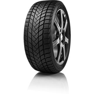 Delinte WD6 XL 205/50R17 93H