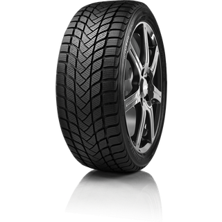 Delinte WD6 XL 3PMSF 245/45R18 100V