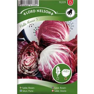 Cikoriesalat 'Palla Rossa 5'