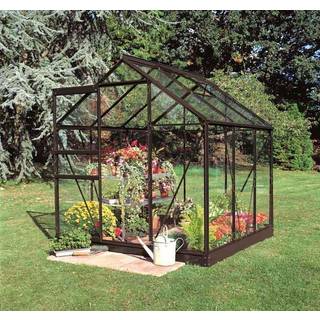 Halls Popular 66 drivhus 3,8 m², sort, 3 mm glas