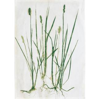 Økologisk viskestykke fra SØDAHL - GRASS
