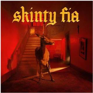 Fontaines D.c. - Skinty Fia