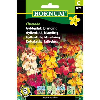 Gyldenlak frøblanding - Duftende - Blomsterfrø