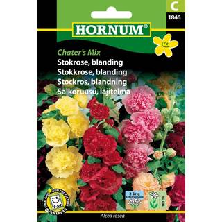 Stokrose frø blanding - Pæonlignende blomster - Blomsterfrø