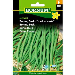 Buskbønne - Haricot Verts - Hornum Grøntsagsfrø