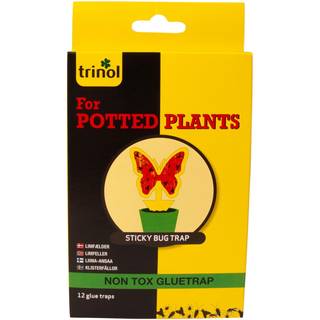 Trinol Sticky Bug Trap til potteplanter - 12 stk.
