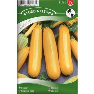 Squash 'Soleil' F1