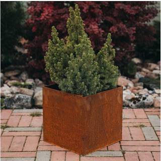 Plantekrukke FIORA - medium