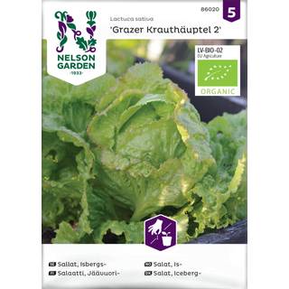 Icebergsalat 'Grazer Krauthäuptel 2' Øko