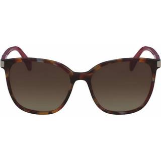 LONGCHAMP Kvinde LO612S 216 Solbriller Plast Havana Brun Firkantet Normal Skygge