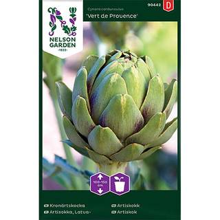 Artiskok 'Vert de Provence'