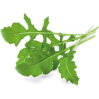 FORÅRSUDSALG - Click&Grow Ruccula - Refill 3-pak