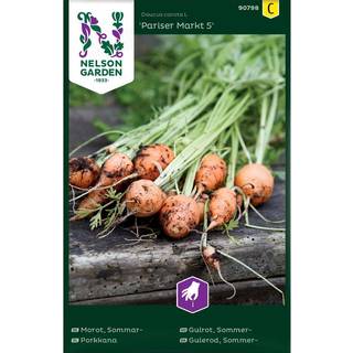Sommergulerod 'Pariser Markt 5'