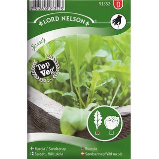 Rucola 'Venetia'