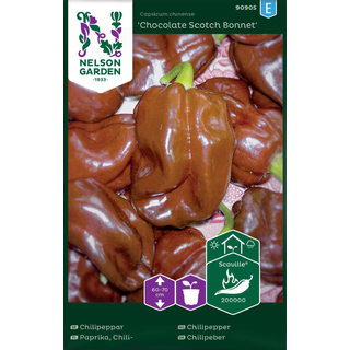 Chilipeber 'Chocolate Scotch Bonnet'