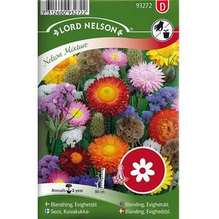 Evighedsblomster Mix