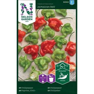 Ajíchili 'Jamaican Bell'