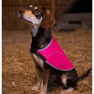 Dogman Refleksvest Rex rosa S