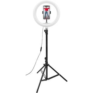 Celly ProClick 12" Lys med Tripod
