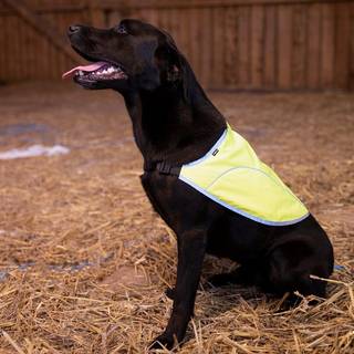 Dogman Rex Reflekterende sikkerhedsvest til hunde Gul L Længde: 34cm Bryst: 46-55cm