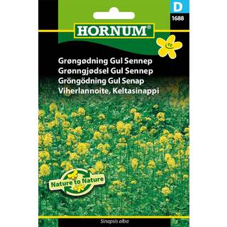 Gul Sennep Grøngødning - Blomsterfrø