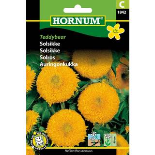 Solsikke frø - Lave solsikker. Fyldte og tidlige &quot;Teddybear&quot; - Blomsterfrø
