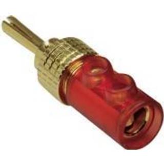 TRU COMPONENTS Bananstik Stik, lige Stift-diameter: 4