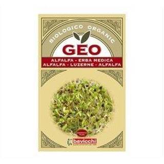 Geo Bavicchi Lucernefrø til spiring Ø - 30 g