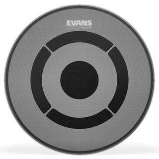 Evans TT13 dB ONE Tamskind