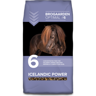 Brogaarden Optimal #6 Icelandic Power