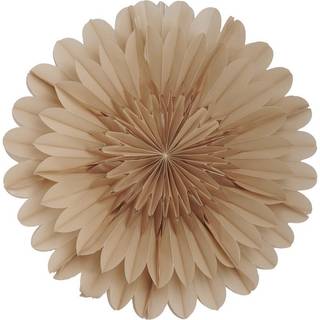 Lotus julestjerne 60 cm, beige