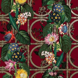 Albany Wallpaper Alata 91434