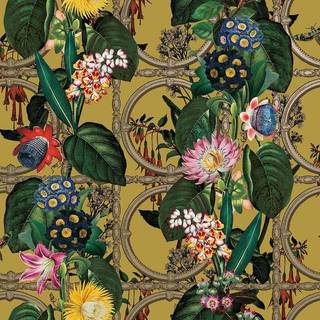 Albany Wallpaper Alata 91433