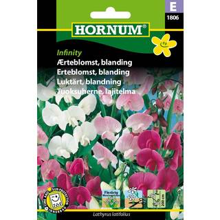 Ærteblomst blanding &quot;Infinity&quot; Flerårig ærteblomst - Blomsterfrø