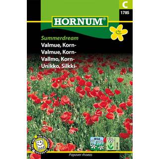 Rød valmue frø &quot;Summerdream&quot; Rød kornvalmue - Blomsterfrø