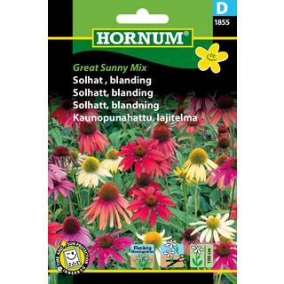 Solhat blomsterfrø blanding - Flerårig "Great Sunny Mix" - Blomsterfrø