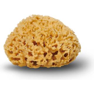 Cocoon Natursvamp Honeycomb 10-11 cm - 1 stk.