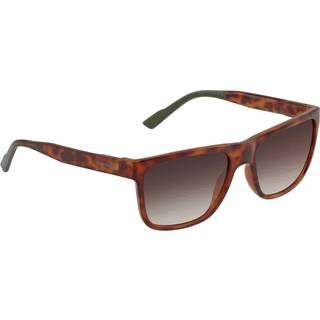 Calvin Klein CK21531S 220 58 Solbriller Mænd Tortoiseshell - Tortoise - 58mm
