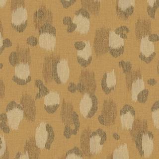 Skin - 300543
