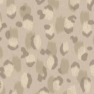 Skin - 300541