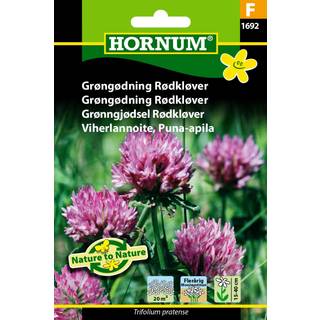 Rødkløver frø - Blomsterfrø til bivenlig kløver - Grøngødning