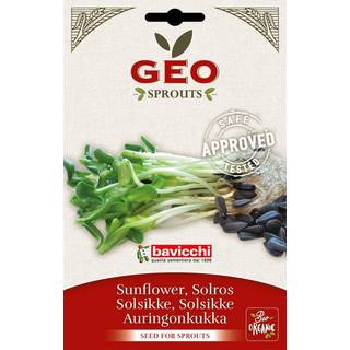 GEO Solsikkefrø ØKO, 80 g