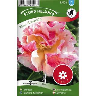 Californisk Guldvalmue 'Rosa Romantica'