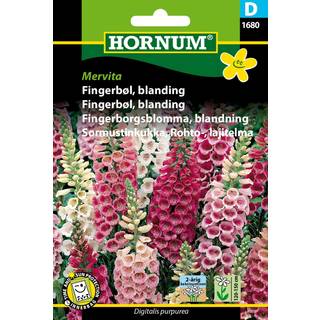 Fingerbøl blanding - Mervita - 2 årig snit og prydblomst - Blomsterfrø