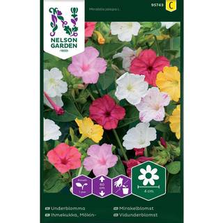 Vidunderblomst Mix