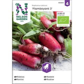 Radise 'Flamboyant 2' Øko